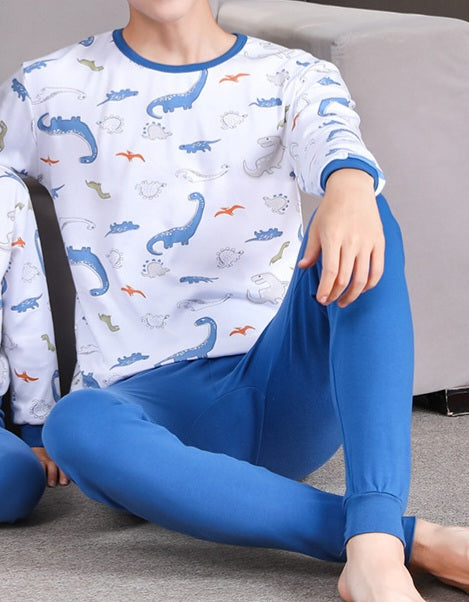 Blue dinosaur pajamas sale