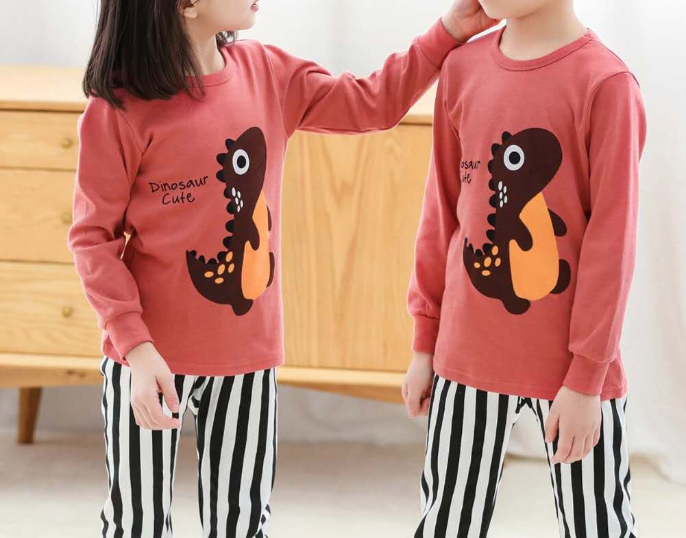 Kids Cute Dinosaur Pyjamas